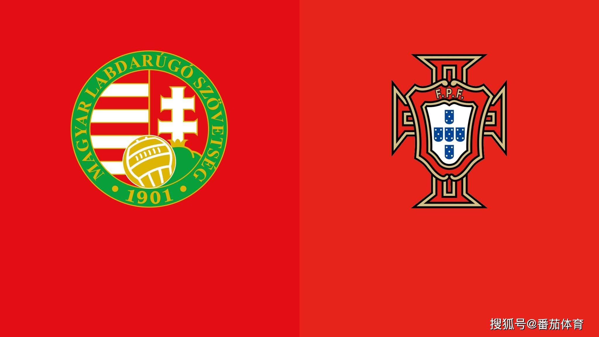 匈牙利选手一路高歌猛进,冲向巅峰 匈牙利选手一路高歌猛进,冲向巅峰