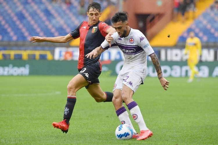 杏彩体育下载-热那亚主场惨败，球队连胜走势告一段落的简单介绍